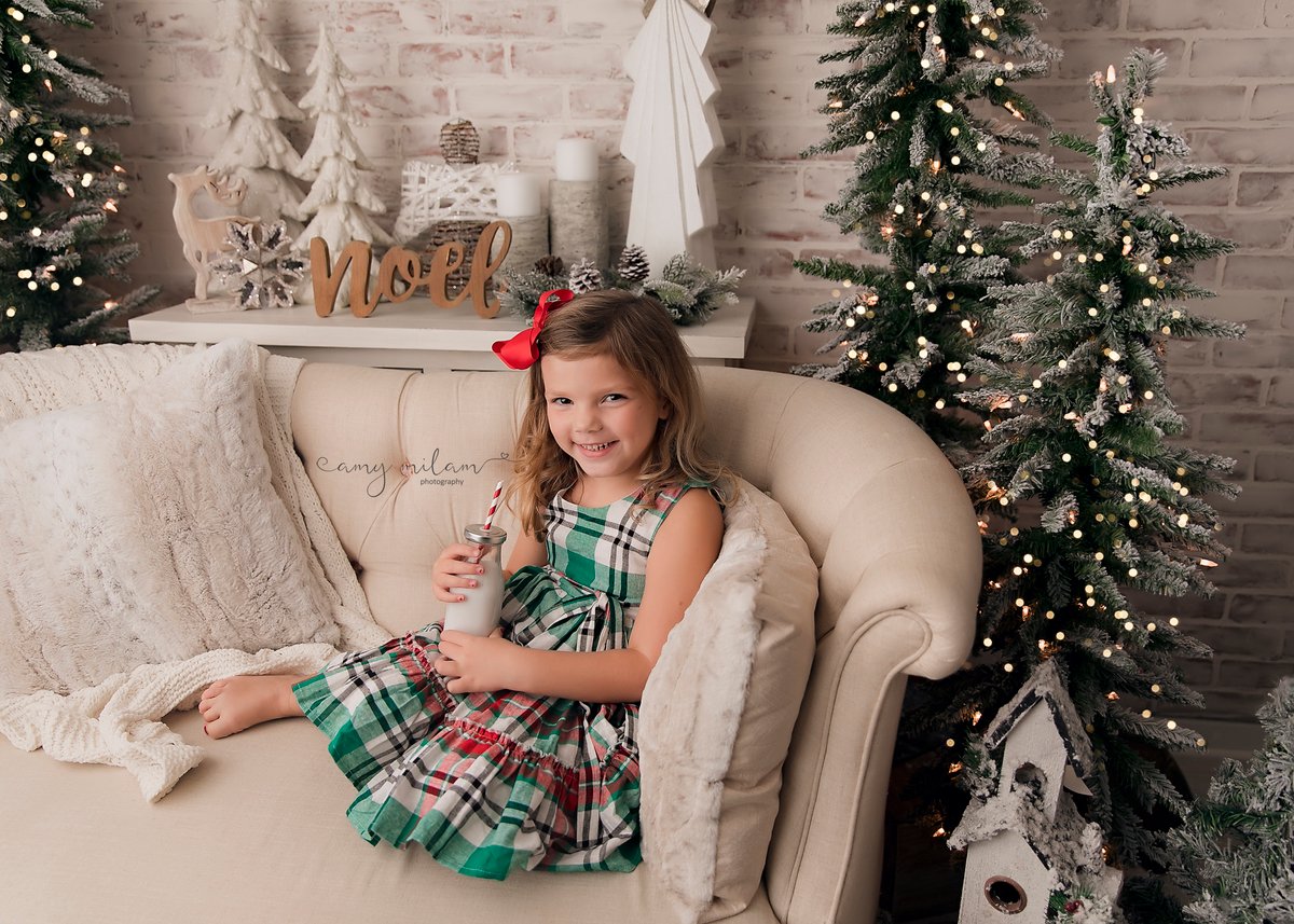 Christmas Couch Minis - $175 | Amy Milam Photography
